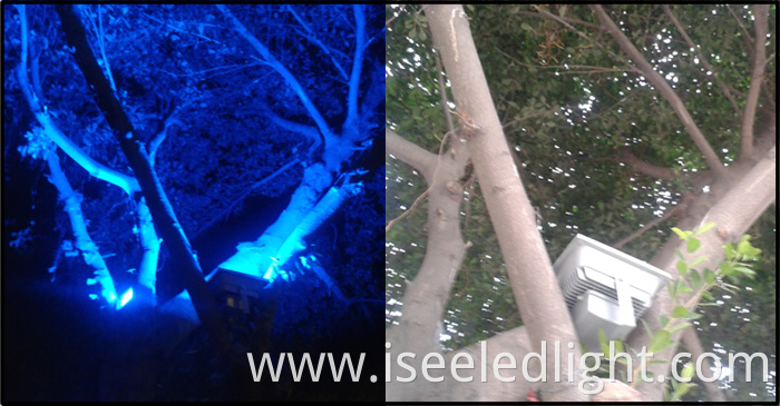led uplight Flood Light for tree